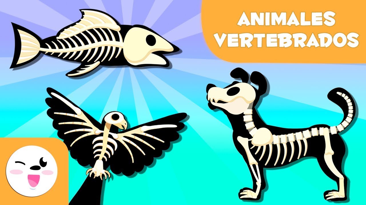 animales vertebrados